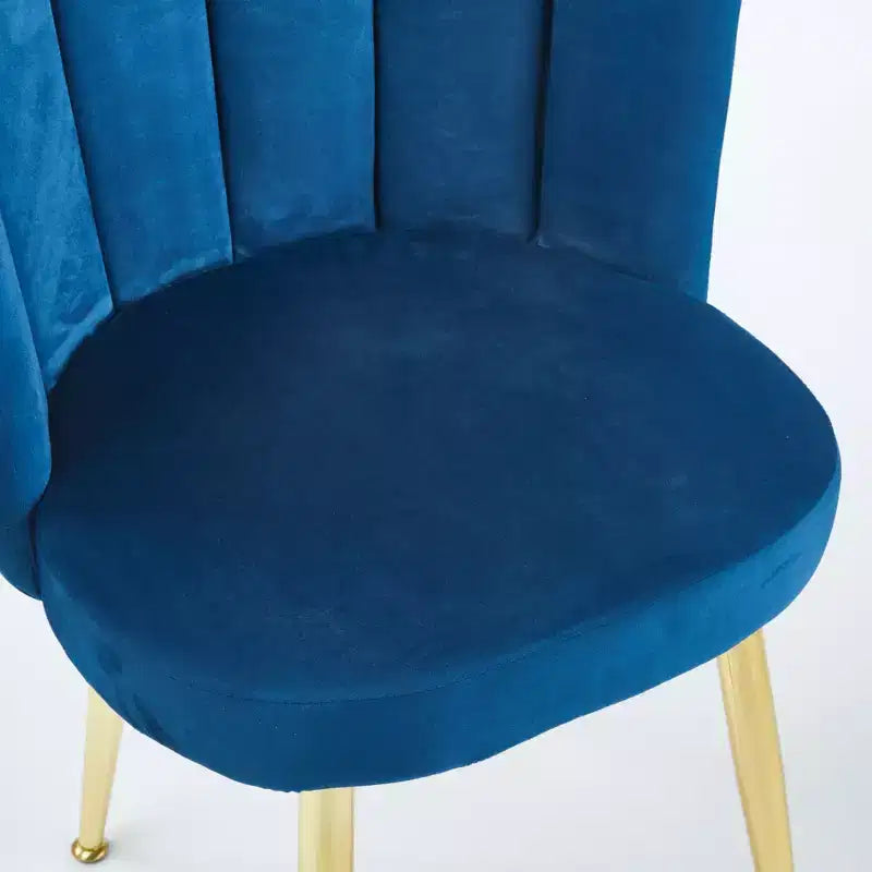 Set of 2 Modern Dining Chairs with Golden Iron Tube Legs and Velvet Cushions, Comfortable Backrest, Blue Finish